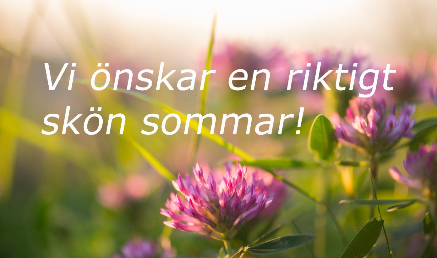 Vi önskar en riktigt skön sommar!